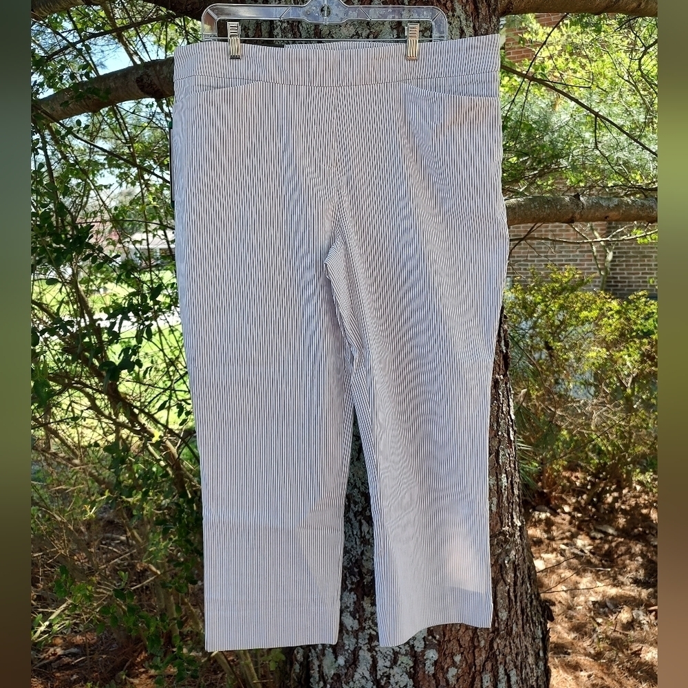 Hilary Radley Womens White Beige Pinstripe Pull On Cropped Pant Tummy Control XL